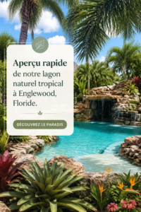 Image d'un lagon tropical avec des plantes vertes luxuriantes et une ambiance relaxante