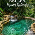 Une belle piscine naturelle entourée de verdure, offrant une atmosphère paisible.