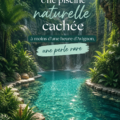 Une vue panoramique d'une piscine naturelle près d'Avignon, entourée de verdure