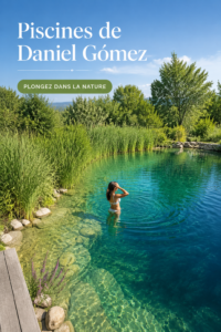 Une belle piscine moderne conçue par Daniel Gómez, entourée de verdure.